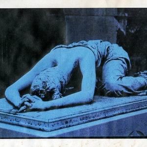 Meet your Posher, Roy